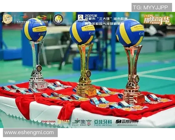 成都排球队在世锦赛中的精彩表现与实力分析